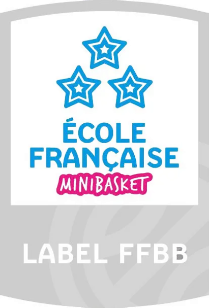 OIP  2 -removebg-preview