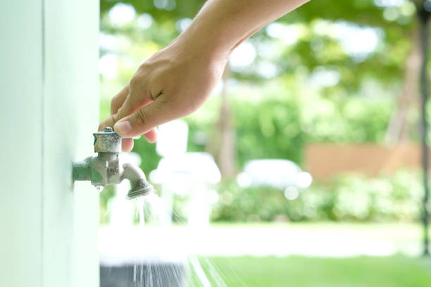 Istockphoto-1098146448-612x612