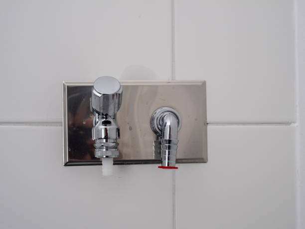 Istockphoto-1494466616-612x612