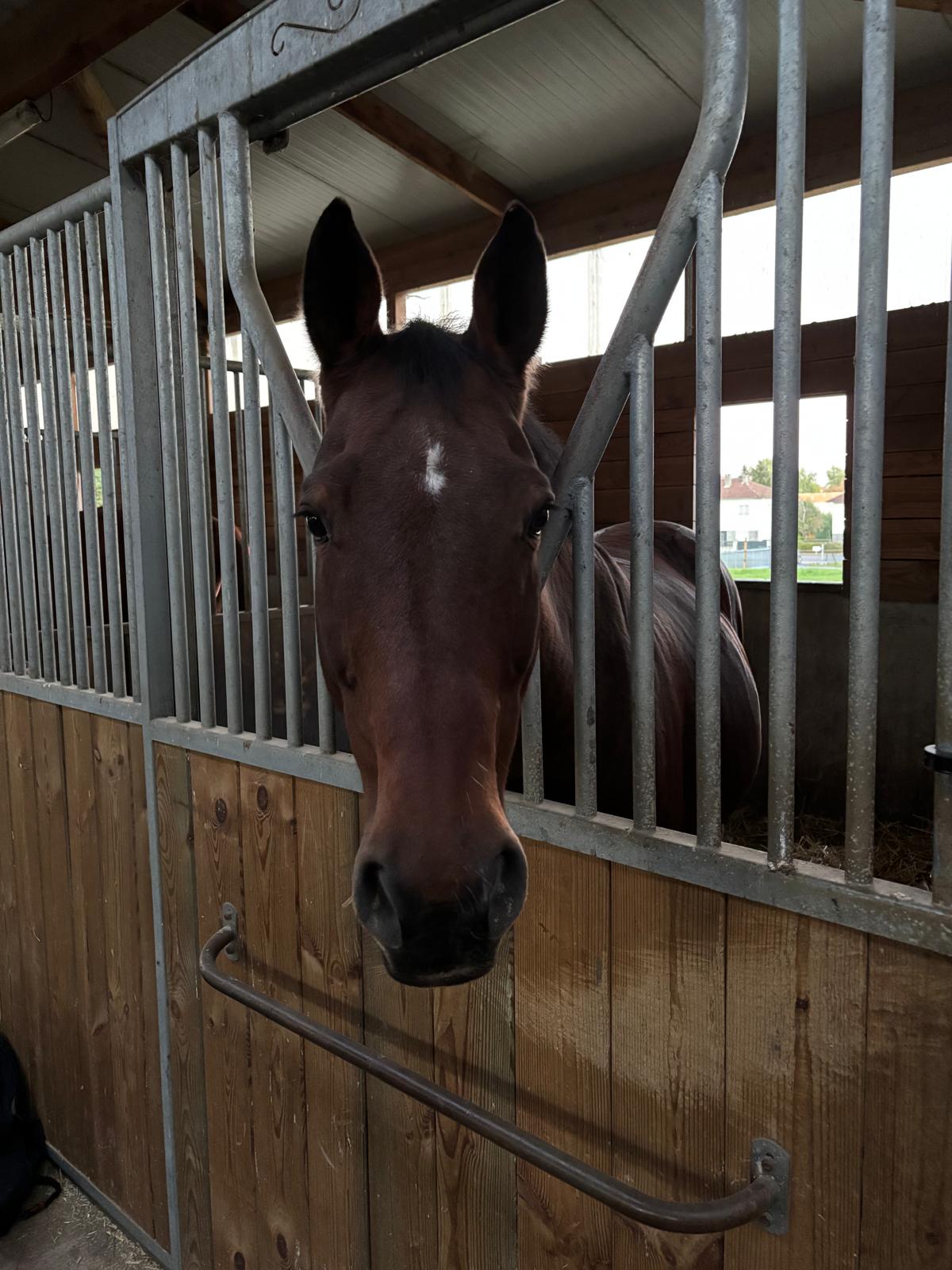 Whatsapp image 2025 10 15 at 12 37 33