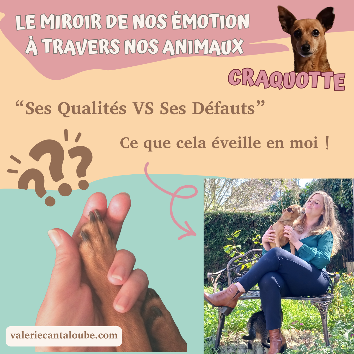 Et si nos animaux nous révélaient à nous-mêmes ?