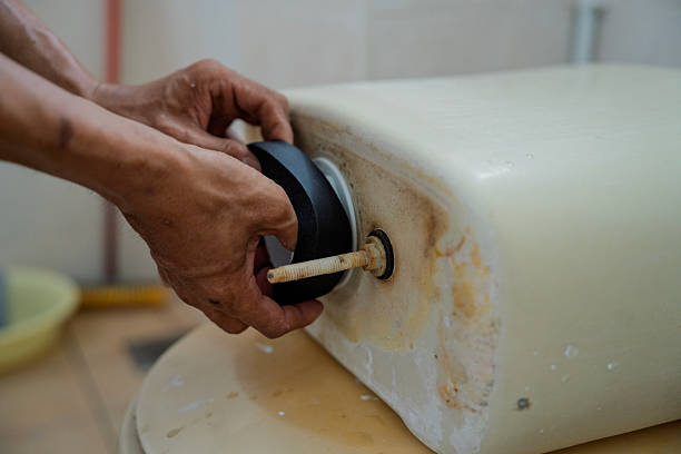 Istockphoto-2231238736-612x612