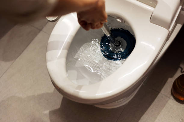 Istockphoto-1456042485-612x612