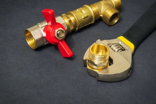 Istockphoto-1455783961-612x612