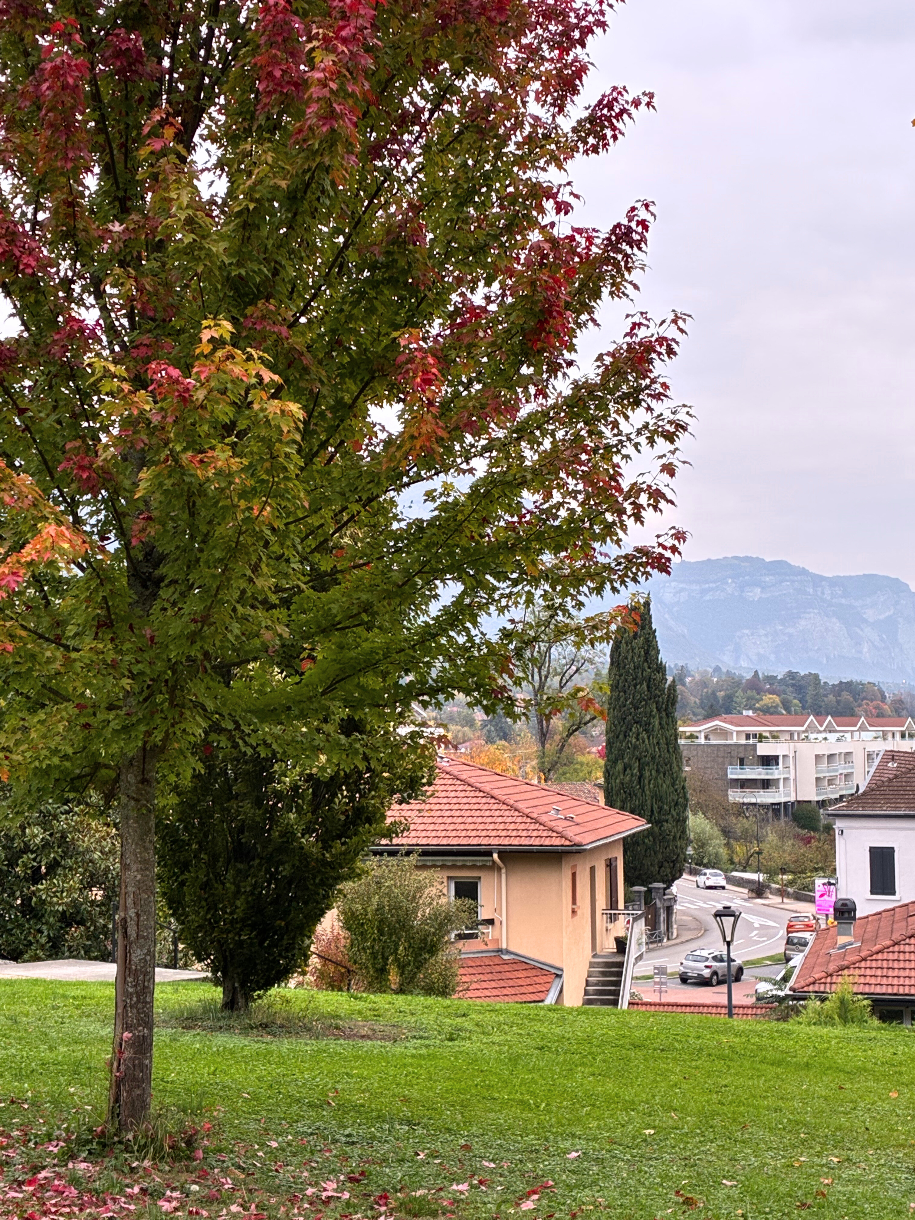 election municipales Montbonnot 2026 - Montbonnot passionnément
