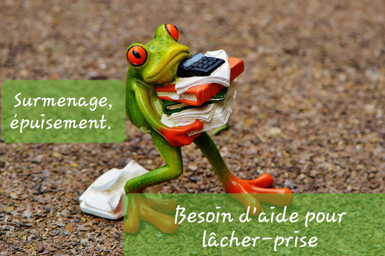se libérer de ses chaines, de ses mémoires ancestrales, de ses schémas de fonctionnement, pour être libre.