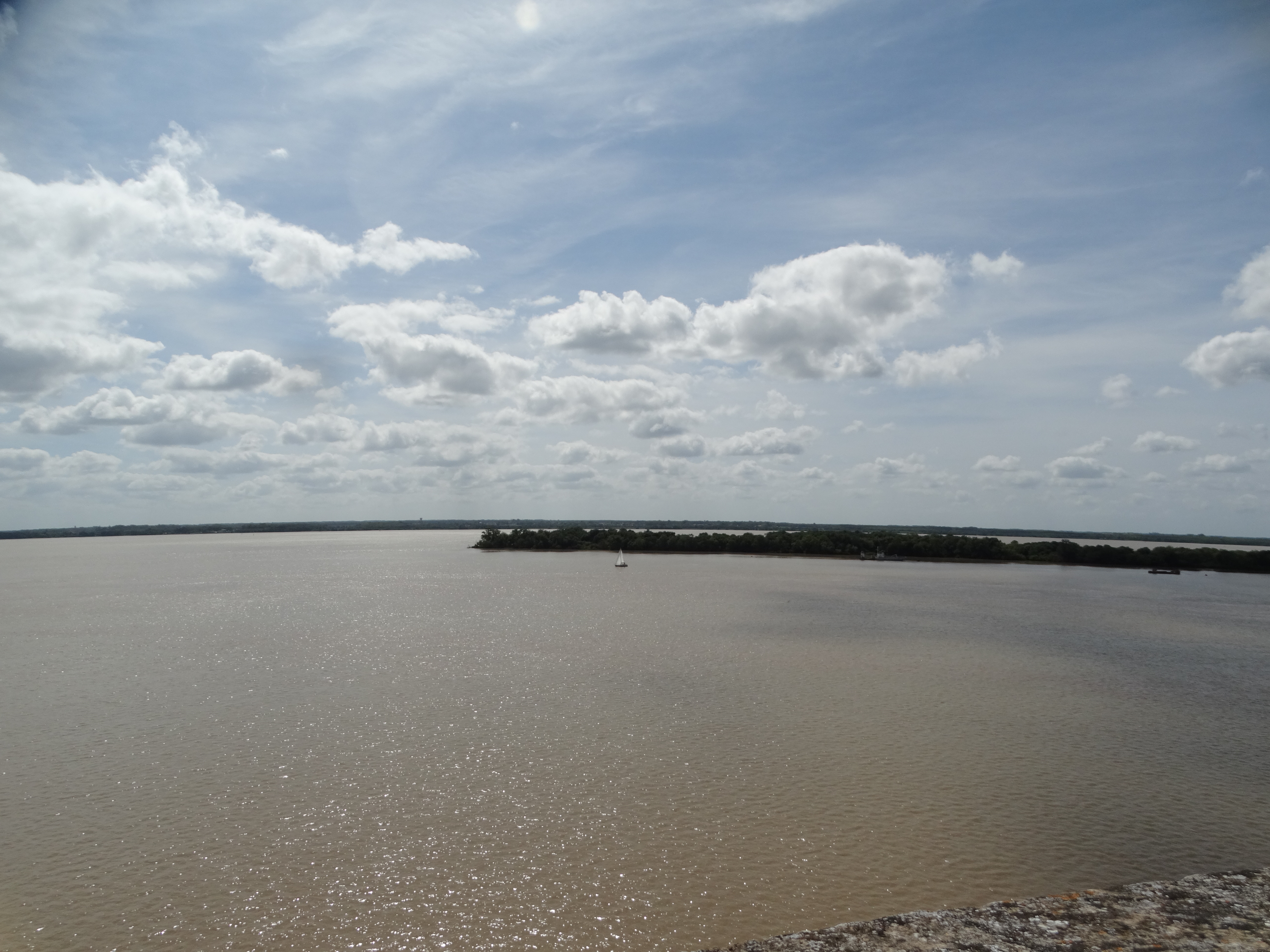 Dsc03366