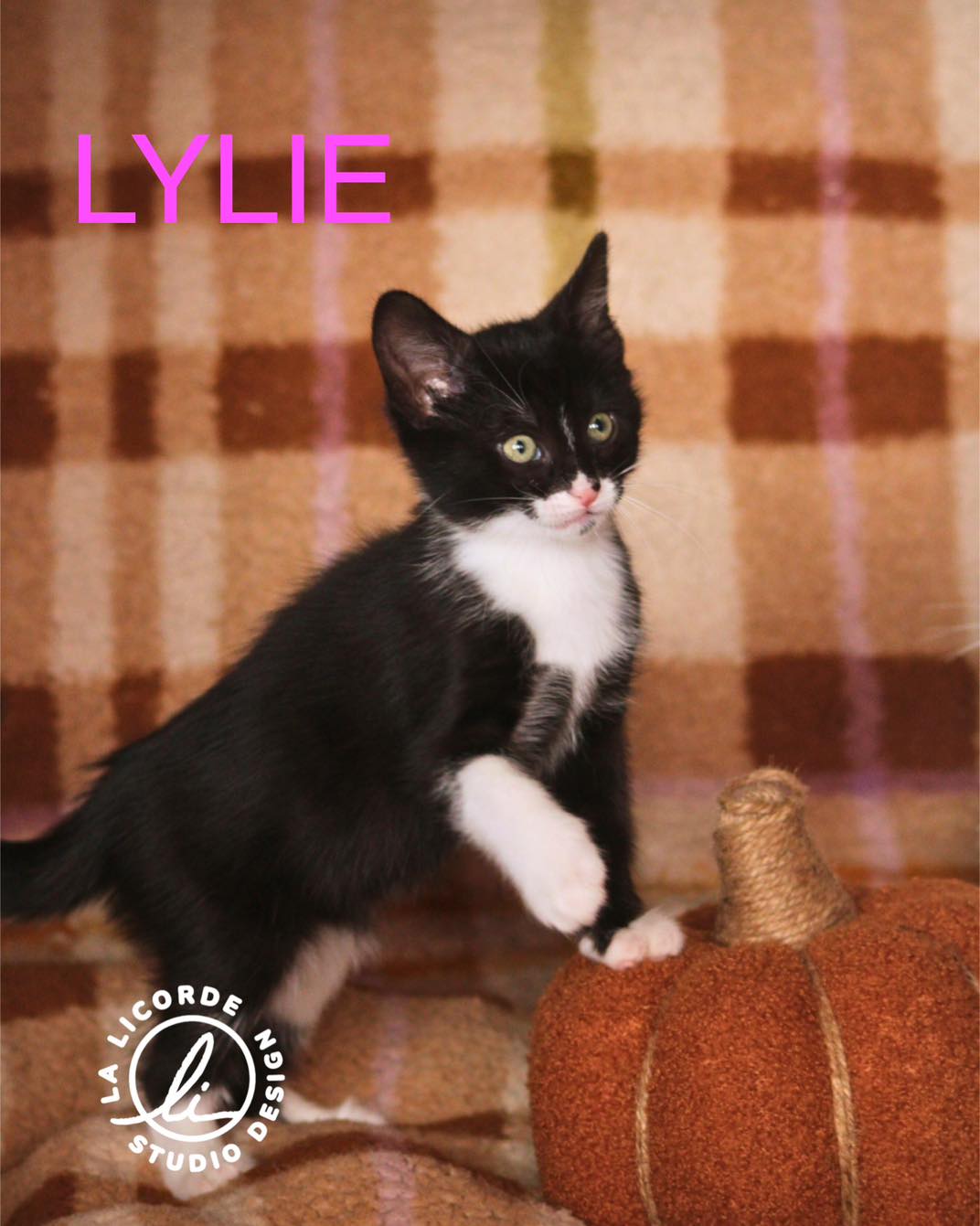 Lylie