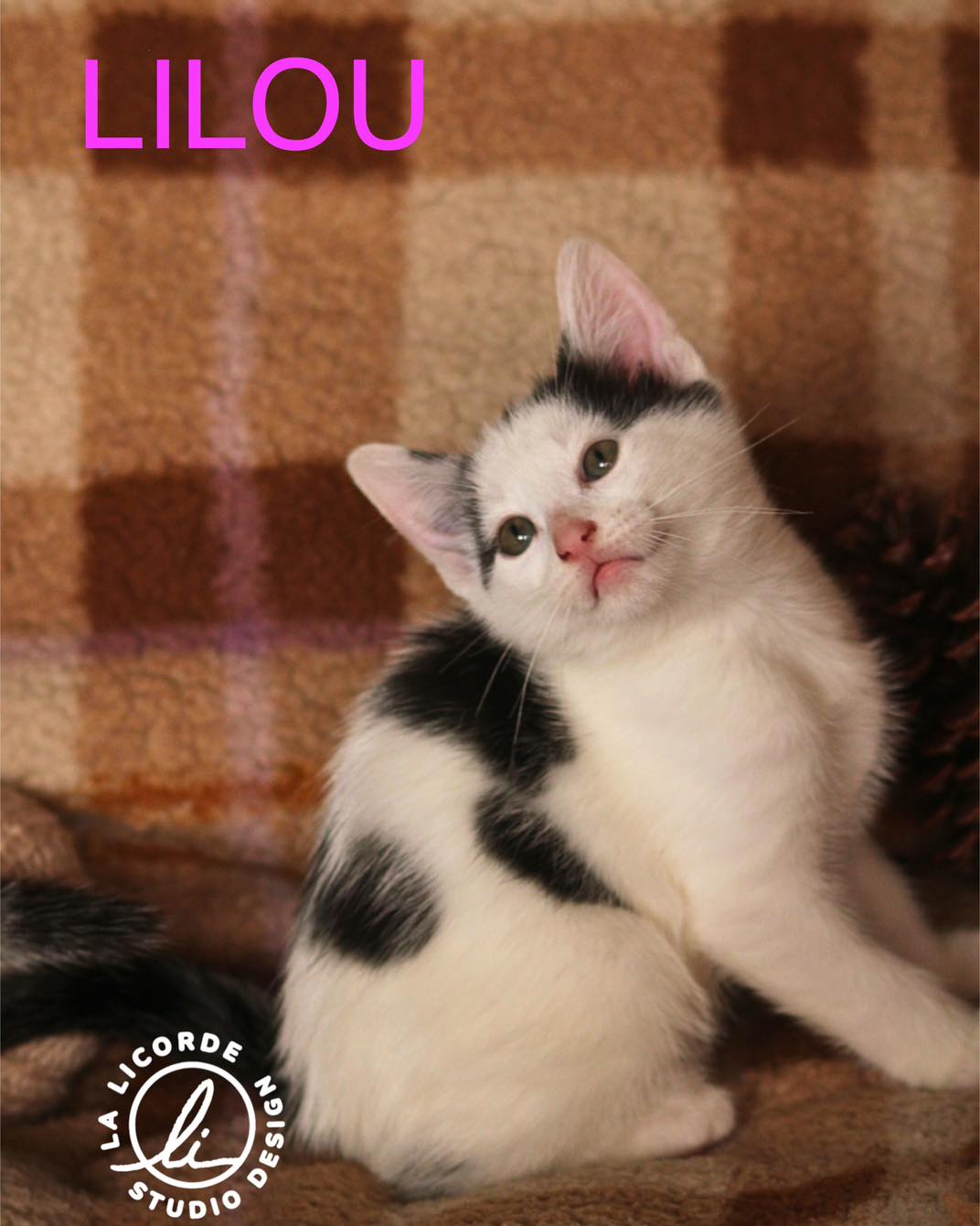 Lilou