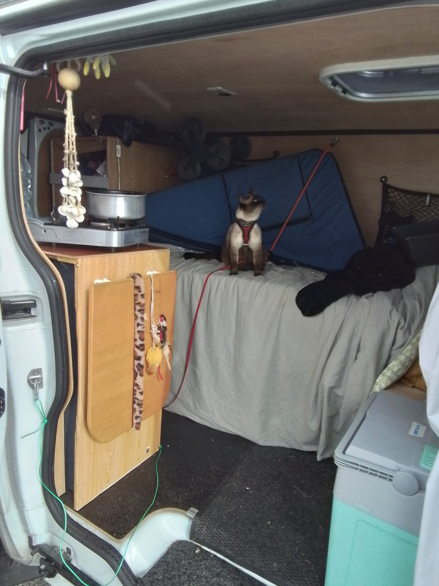 545591147 24283240121347131 5883817071893946341 n