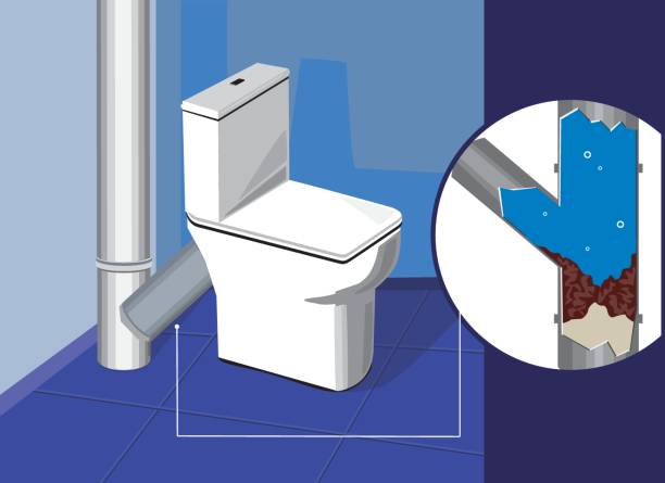 Istockphoto-1215415442-612x612