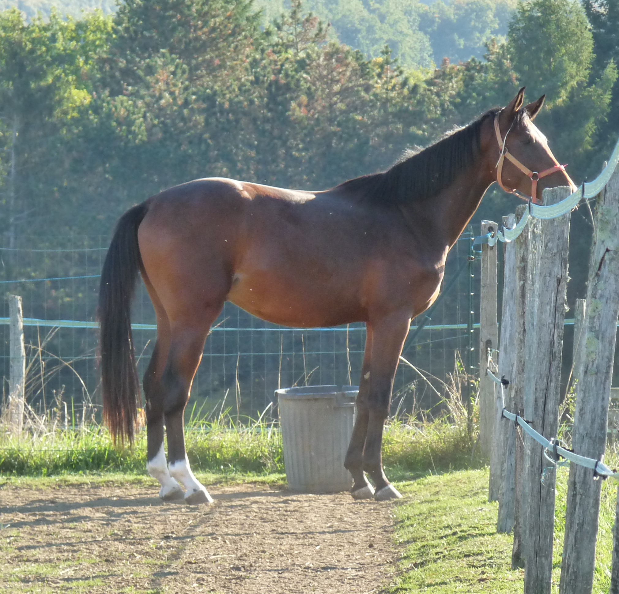 Namaste-capitelles-2-ans