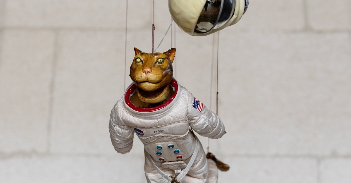 Expo les animaux ca vous parlent