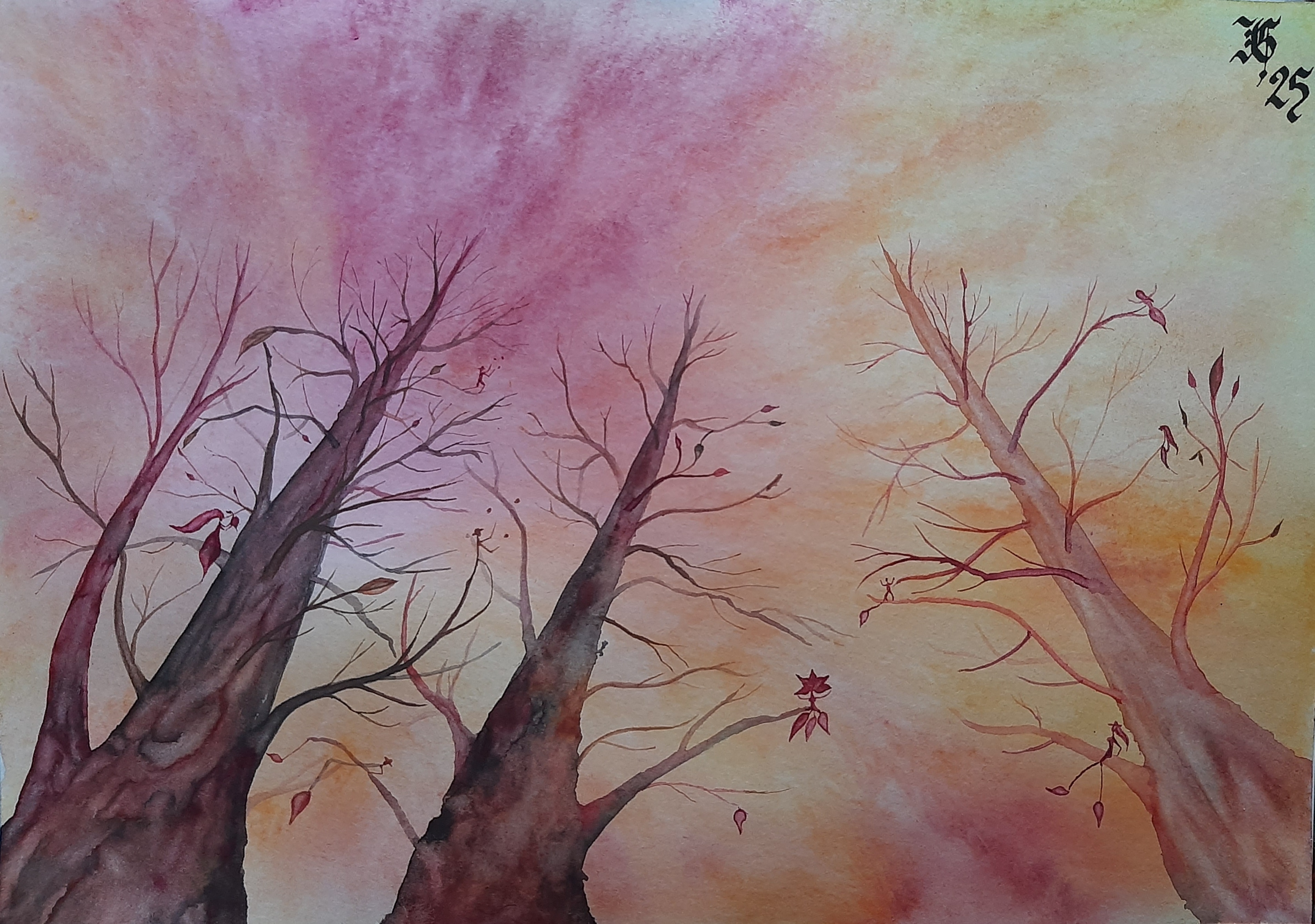 Elementaux arbres cieux