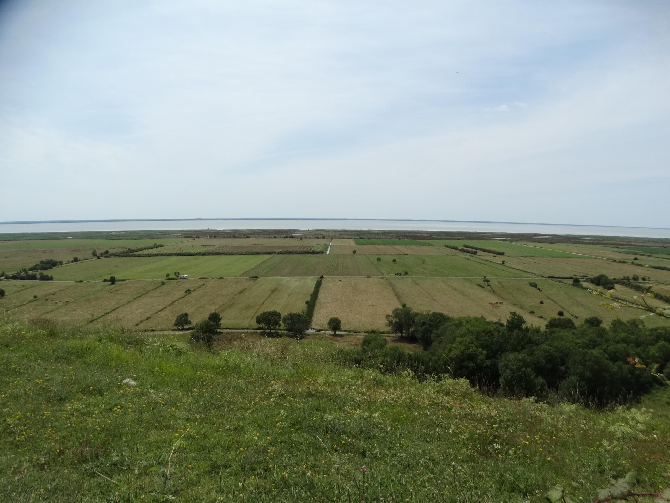 Dsc03804