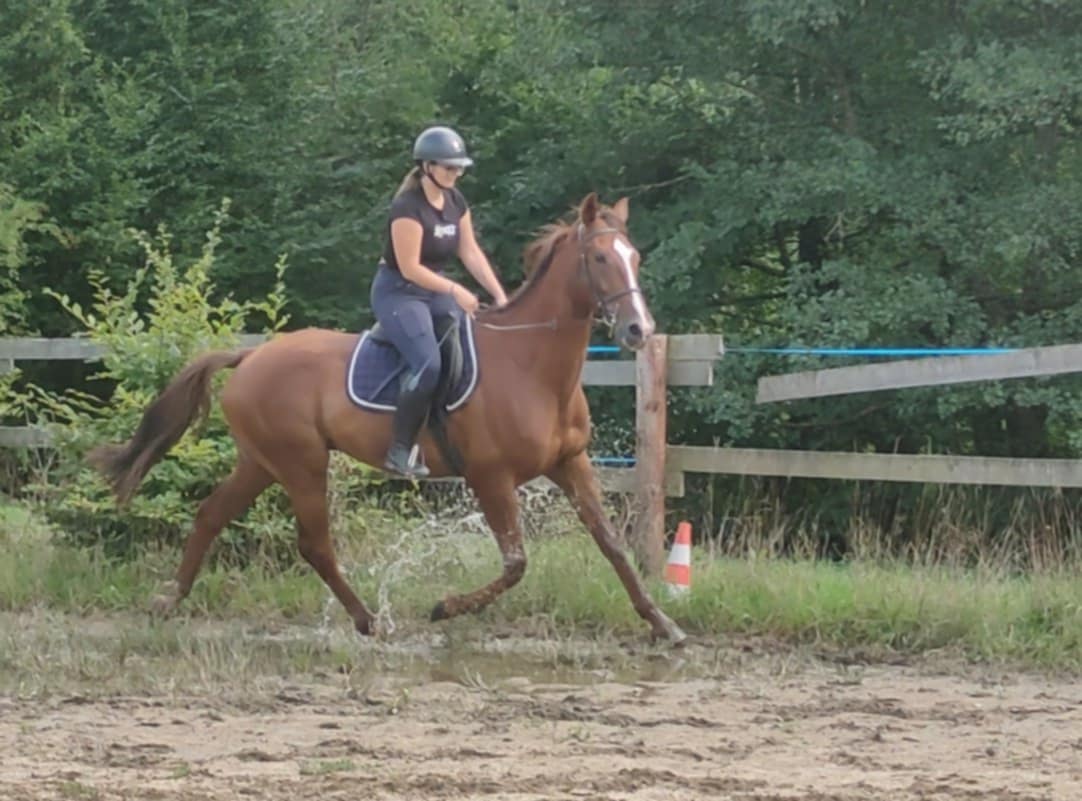 547611986 1283142996942627 6876804671017914820 n