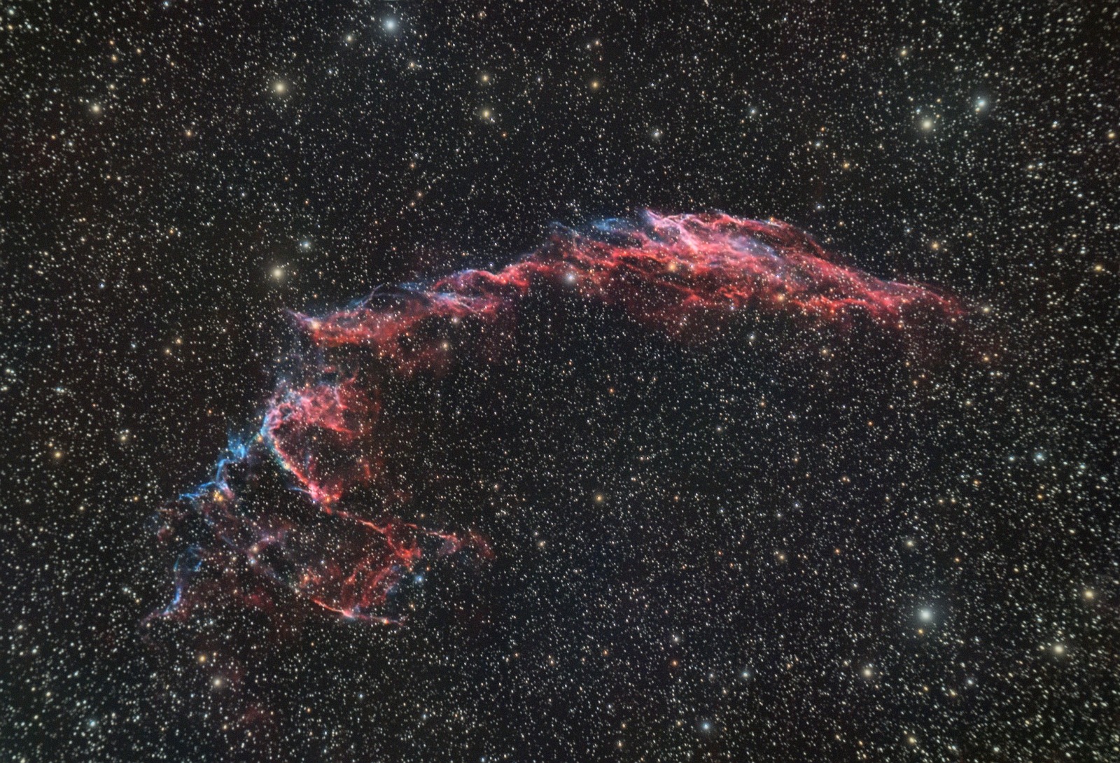 Grandes dentelles du cygne