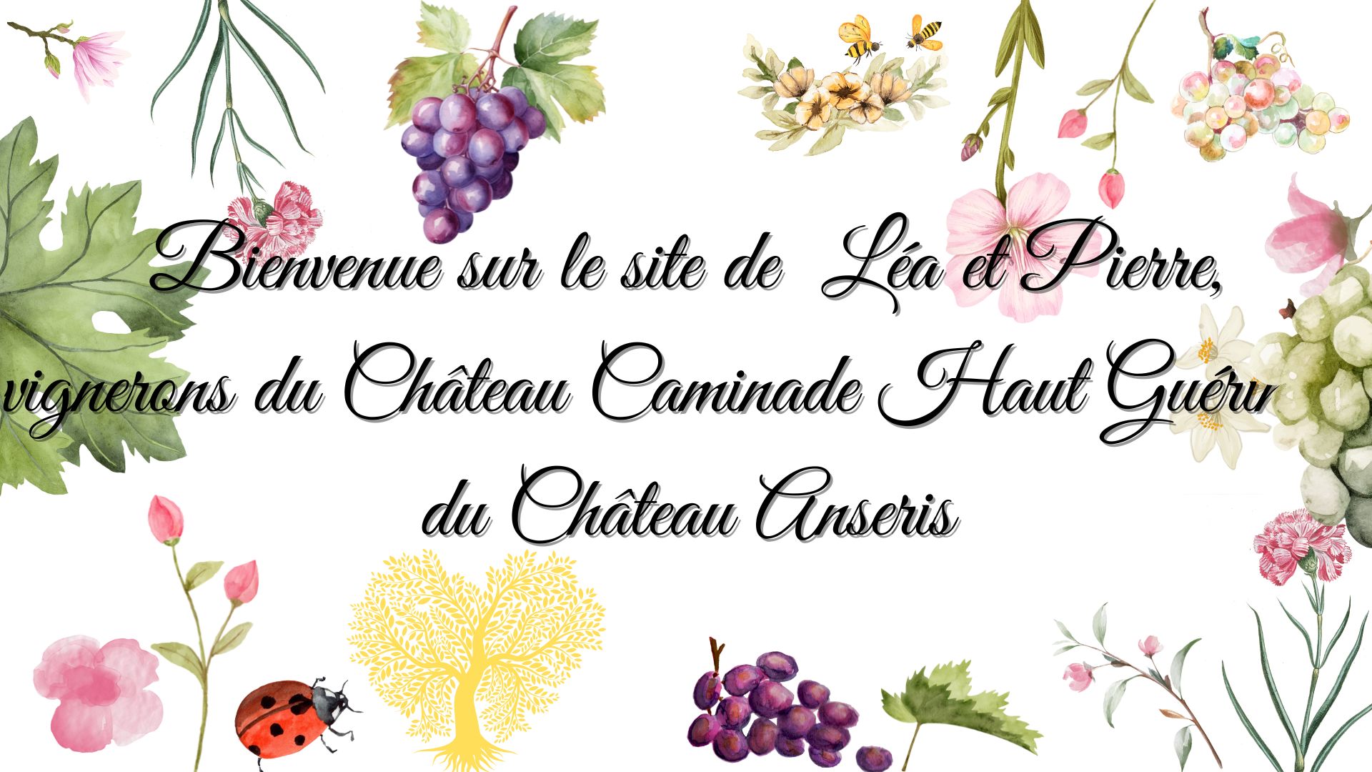 Bienvenue-sur-le-site-de-Lea-et-Pierre-vignerons-du-Chateau-Caminade-Haut-Guerin-et-du-Chateau-Anseris
