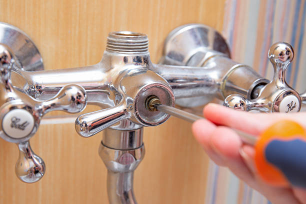 Istockphoto-2225115170-612x612