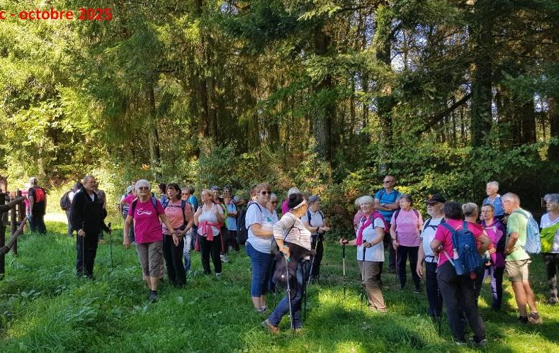 IMG-20251015-WA0000-redim1024