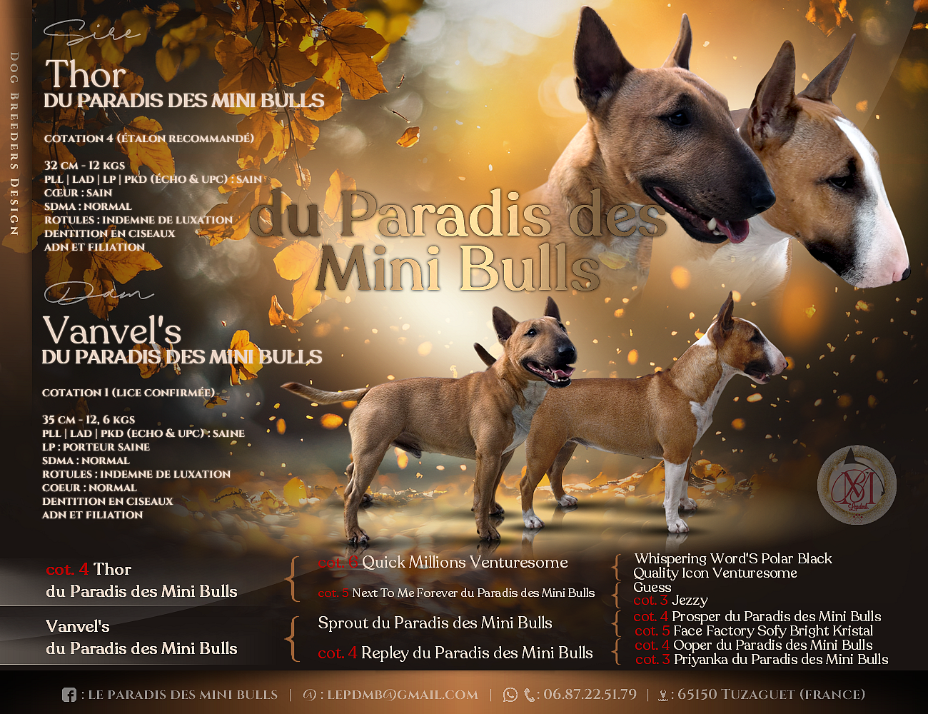 Thor-x-Vanvel-s-mating-and-pedigree