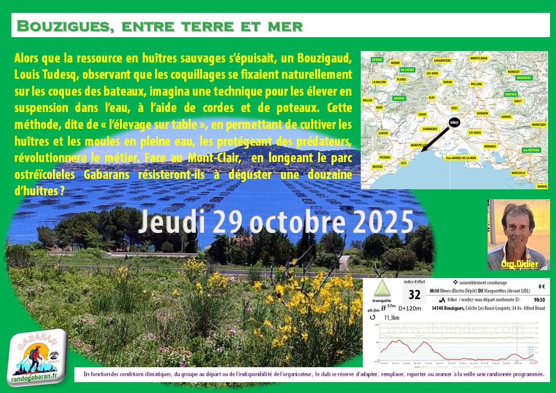 Bouzigues-entre-terre-et-eau