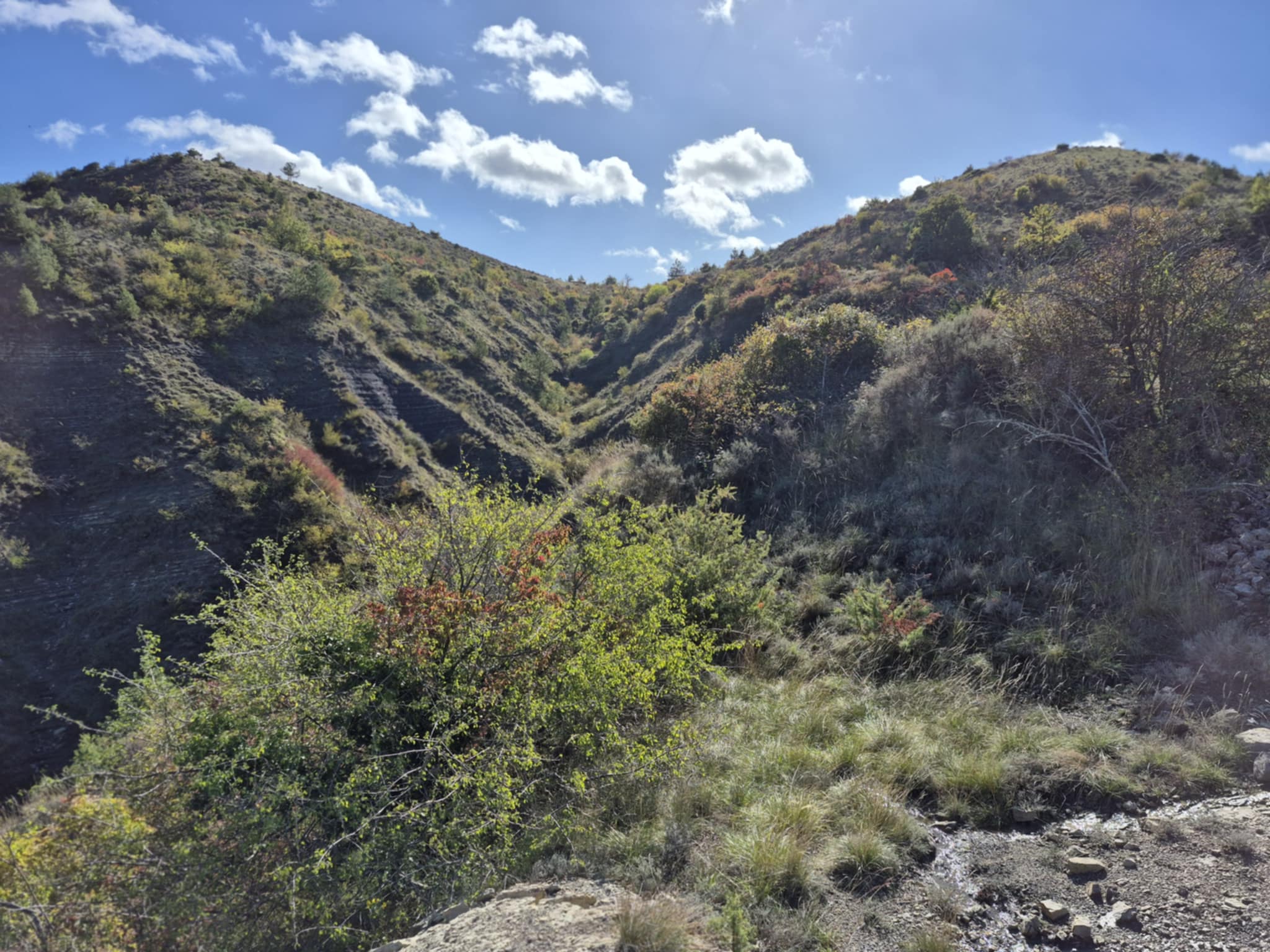 Messenger creation 72a41896 2a13 4f11 94e6 6f946a536a2e