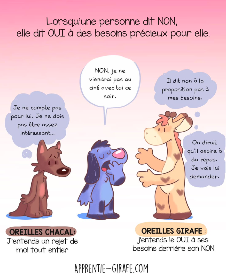 CNV-girafe-et-chacal