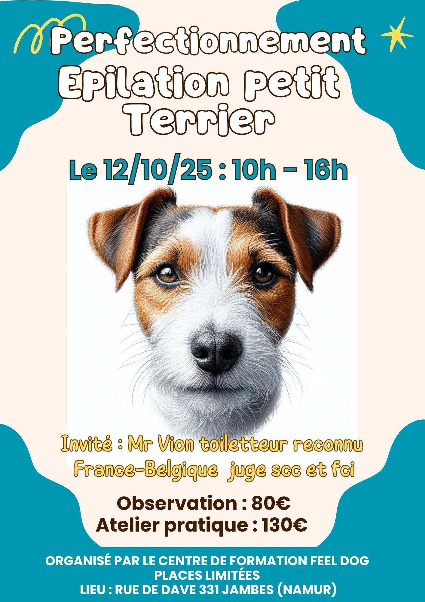 Brown-and-Beige-Minimalist-Pawsome-Pet-Care-Flyer