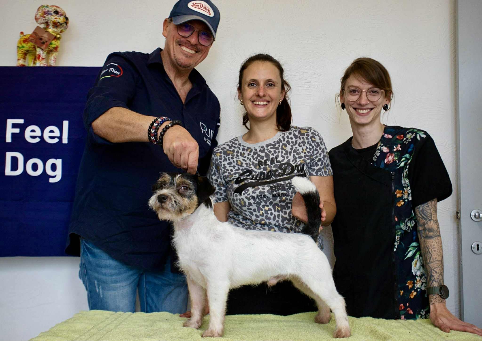 66eb1b716d3d125567b3269afad46e51