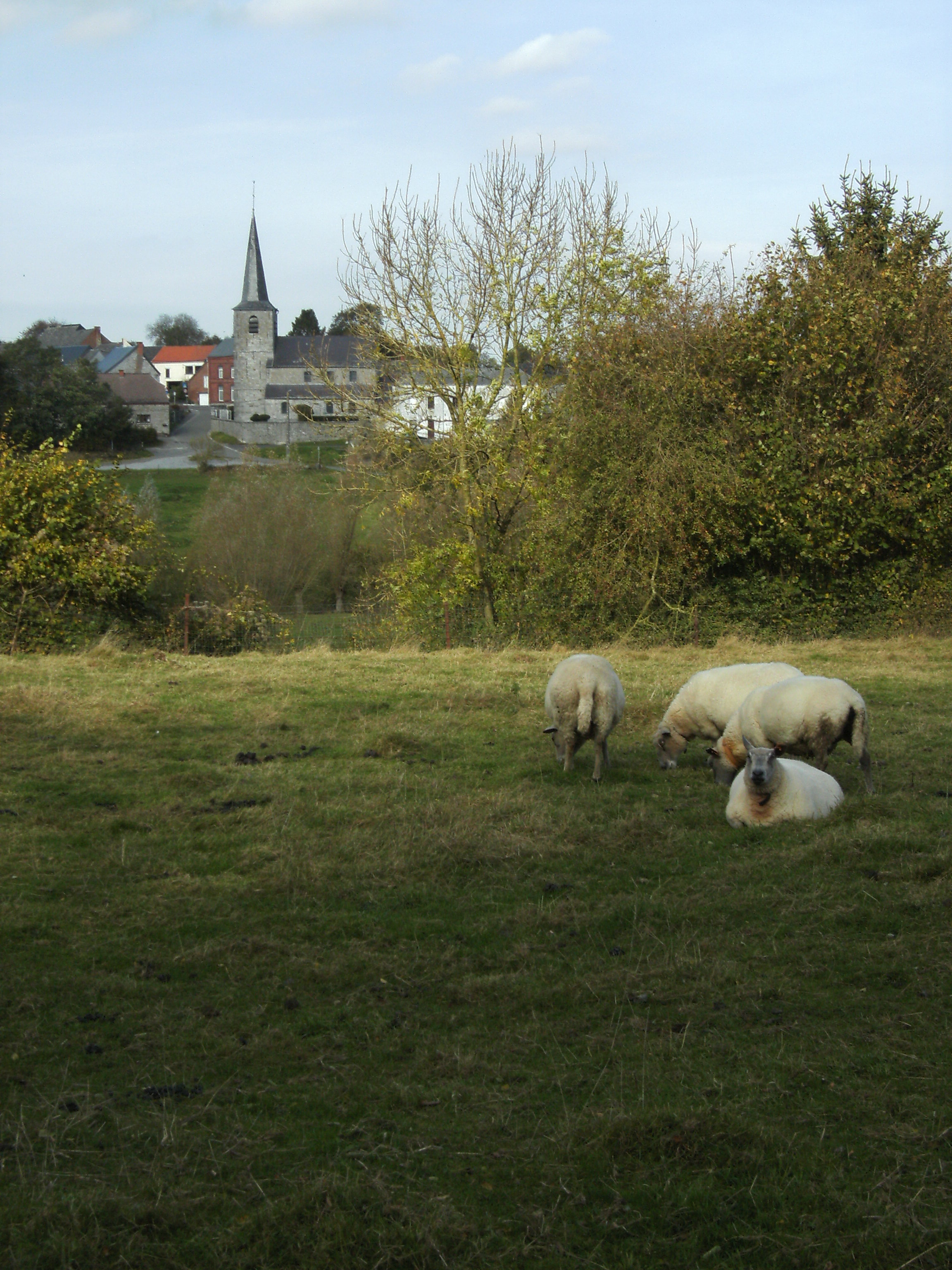 Panorama-sur-l-eglise-9-