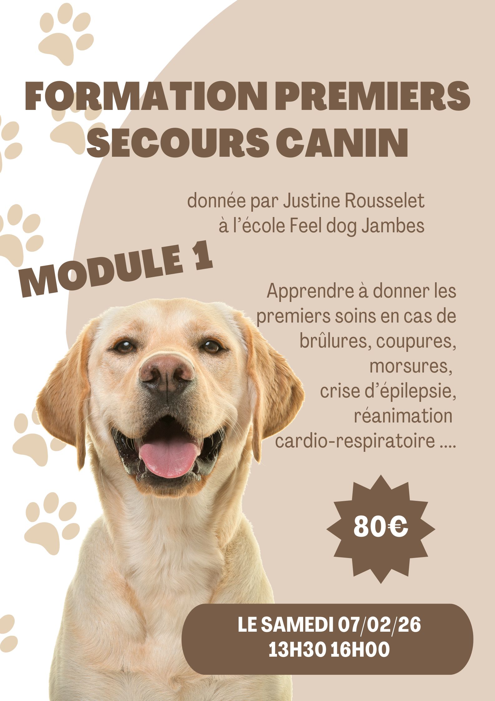 Beige-modern-lost-dog-poster