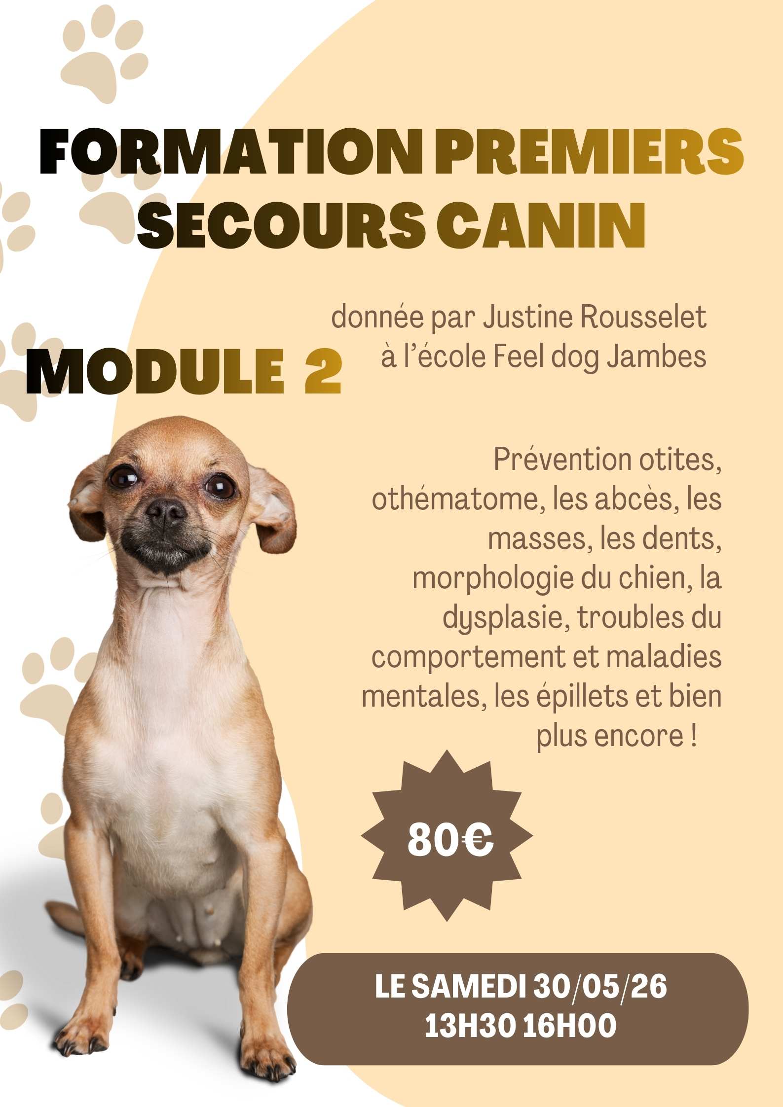 Beige-modern-lost-dog-poster-1-