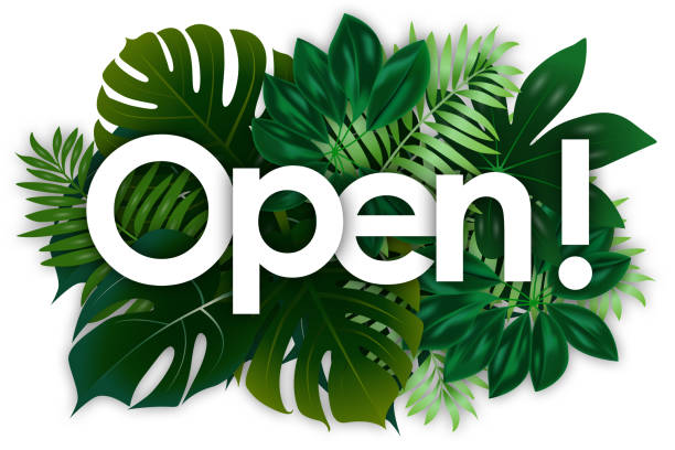 Istockphoto-1185442552-612x612