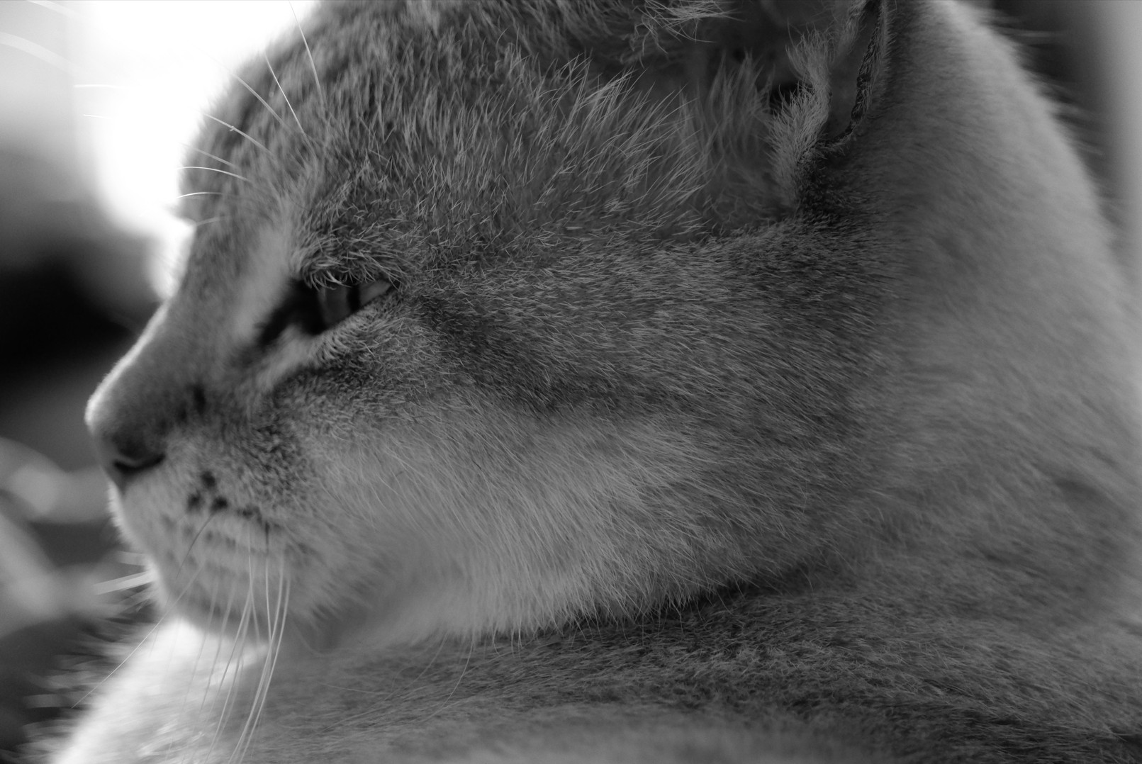 Capture d ecran 2025 10 23 201340