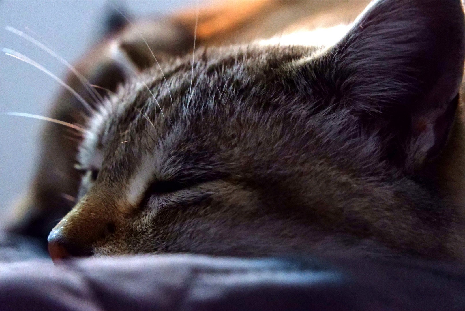 Capture d ecran 2025 10 23 172329