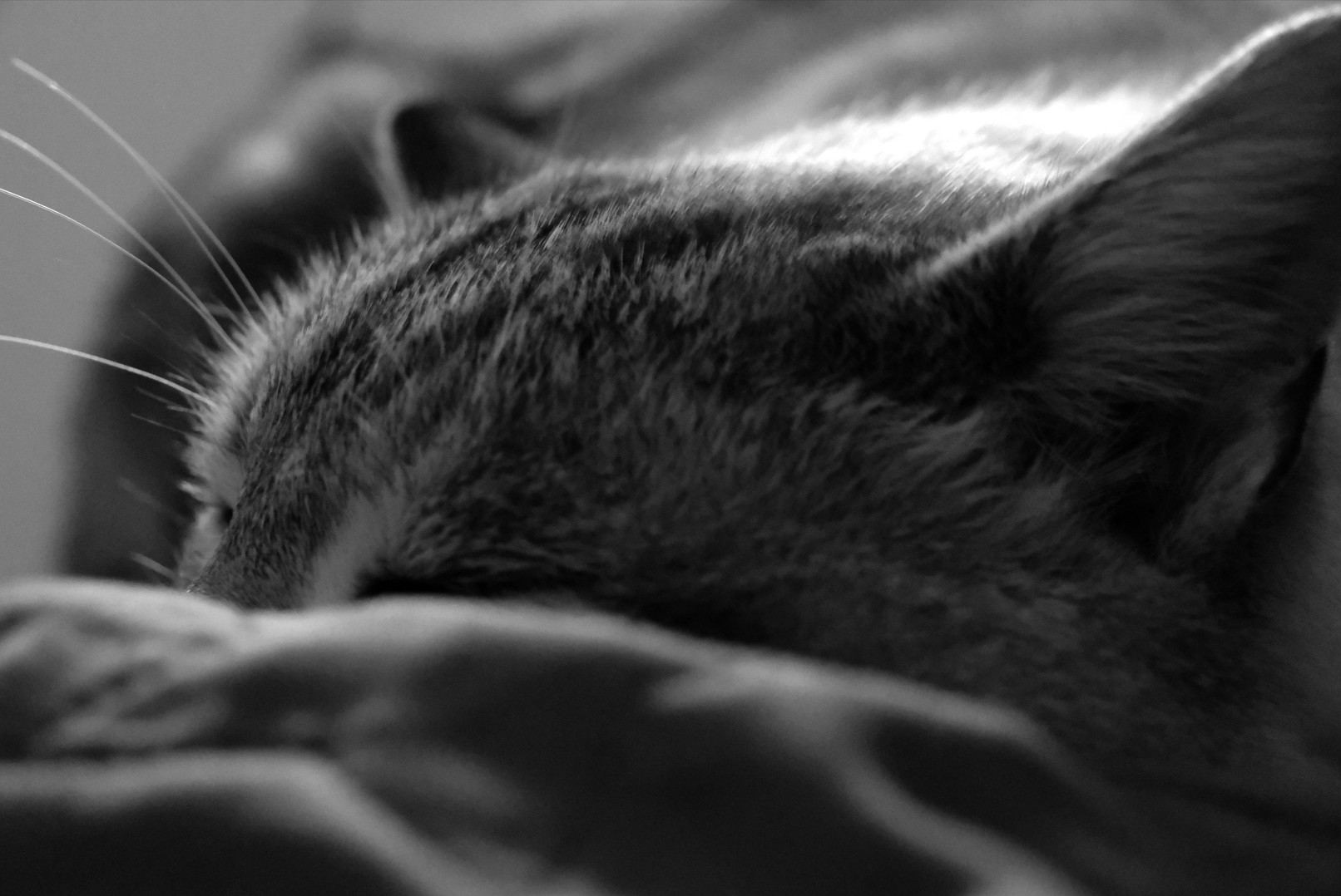 Capture d ecran 2025 10 23 172455