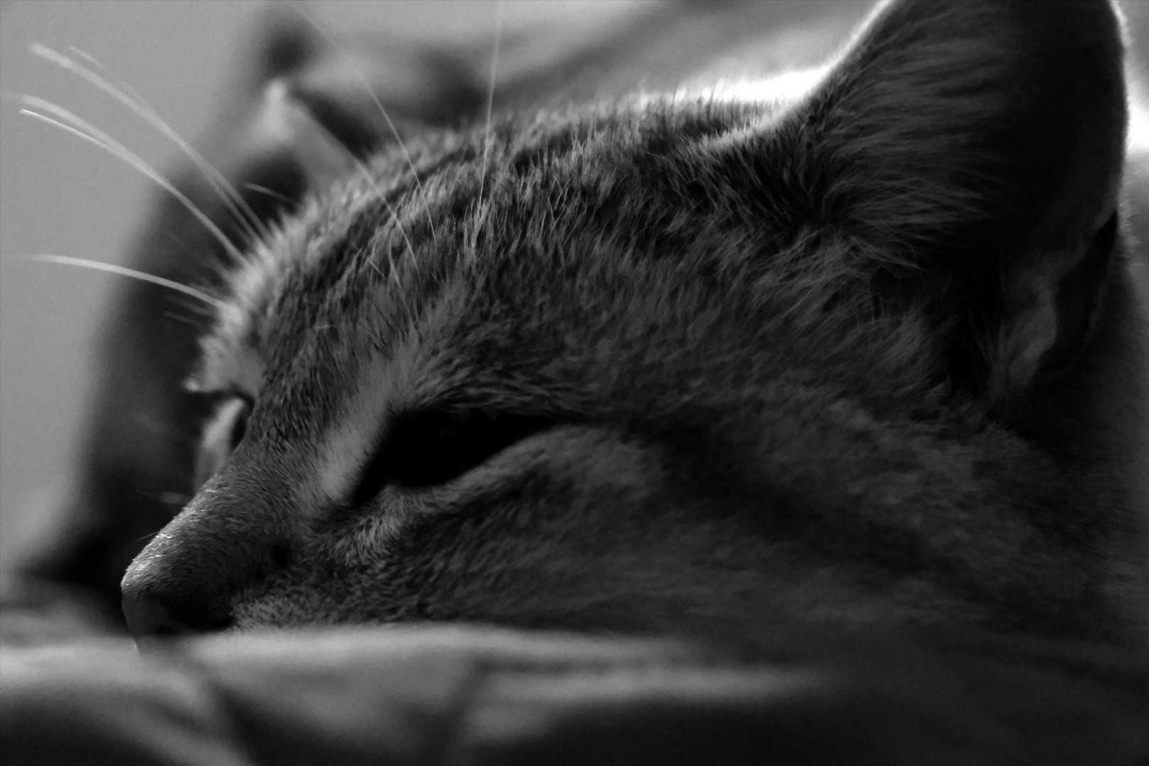 Capture d ecran 2025 10 23 172524