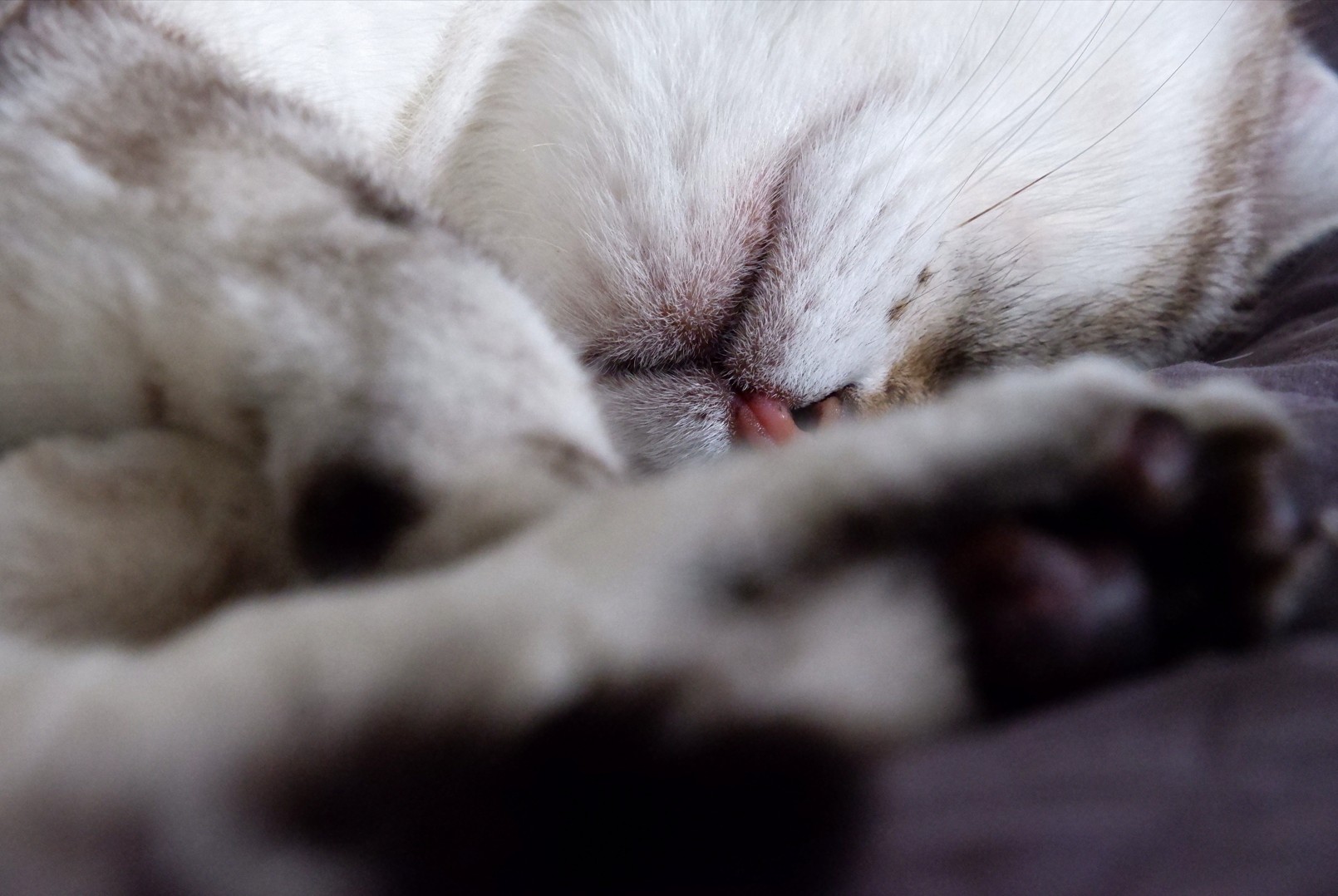 Capture d ecran 2025 10 23 201145