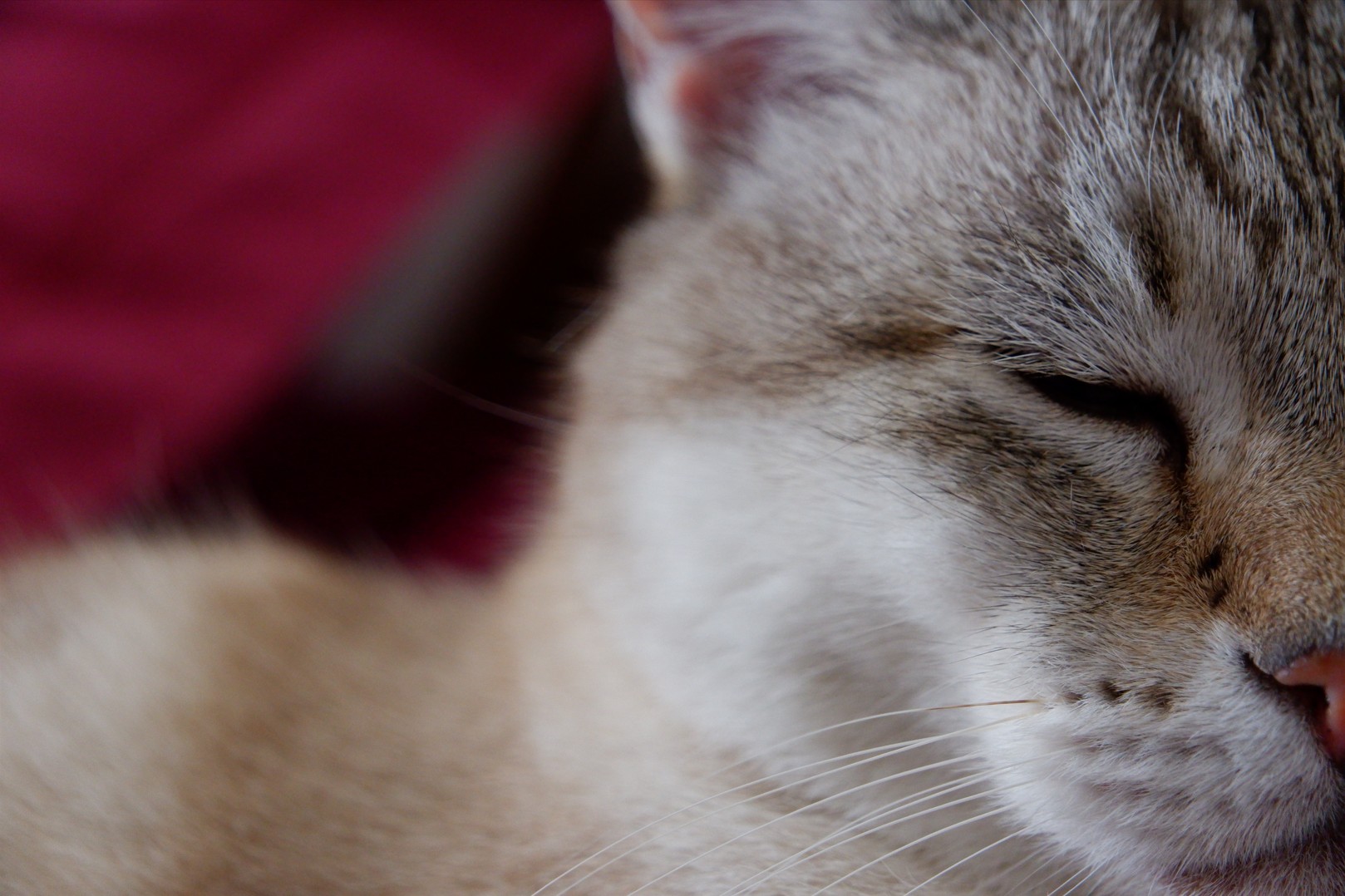 Capture d ecran 2025 10 23 201236