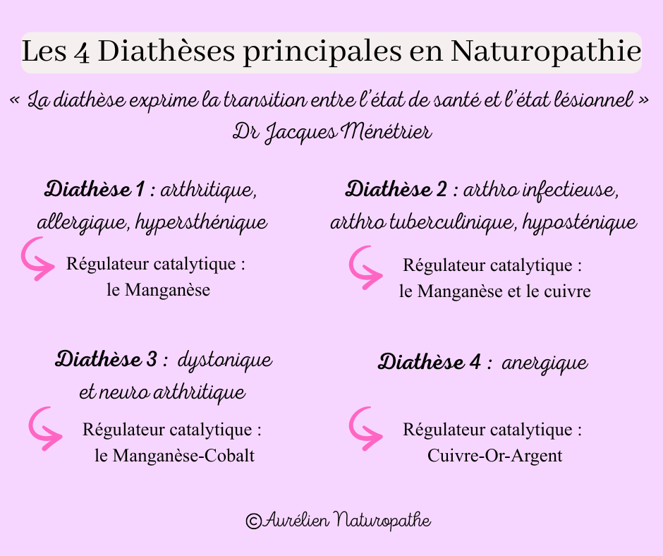 Les-4-diatheses-principales