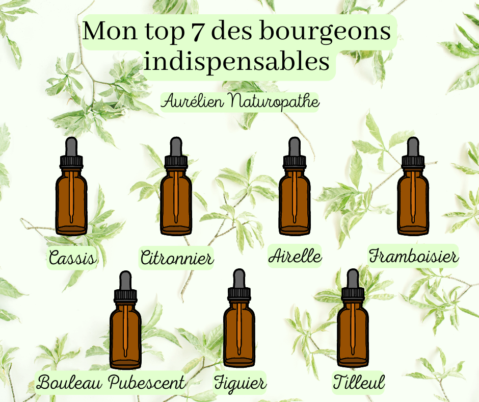 Bourgeons-indispensables