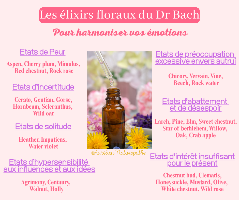 Les-elixirs-floraux