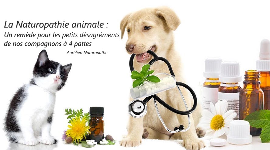 Naturopathie-animale