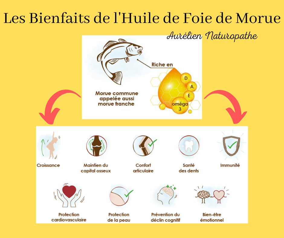 Les-Bienfaits-de-l-huile-de-Foie-de-Morue