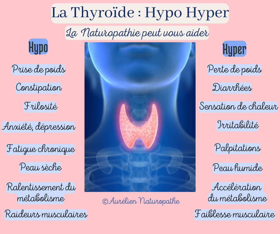  La-thyroide-hypo-hyper