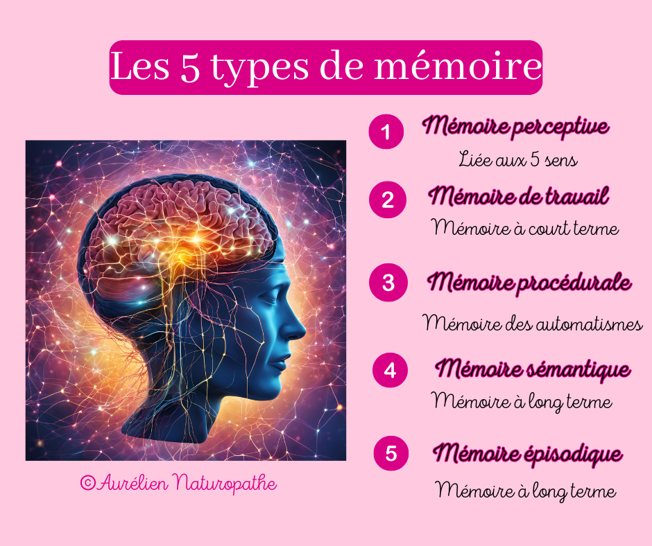 Les-5-types-de-memoire