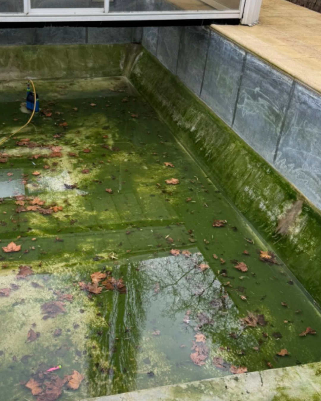 Publi insta nvl dimension 2025 10 29t170708 068