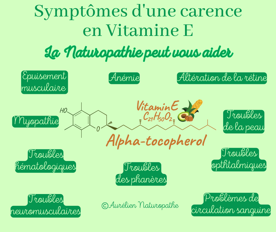 La-vitamine-E