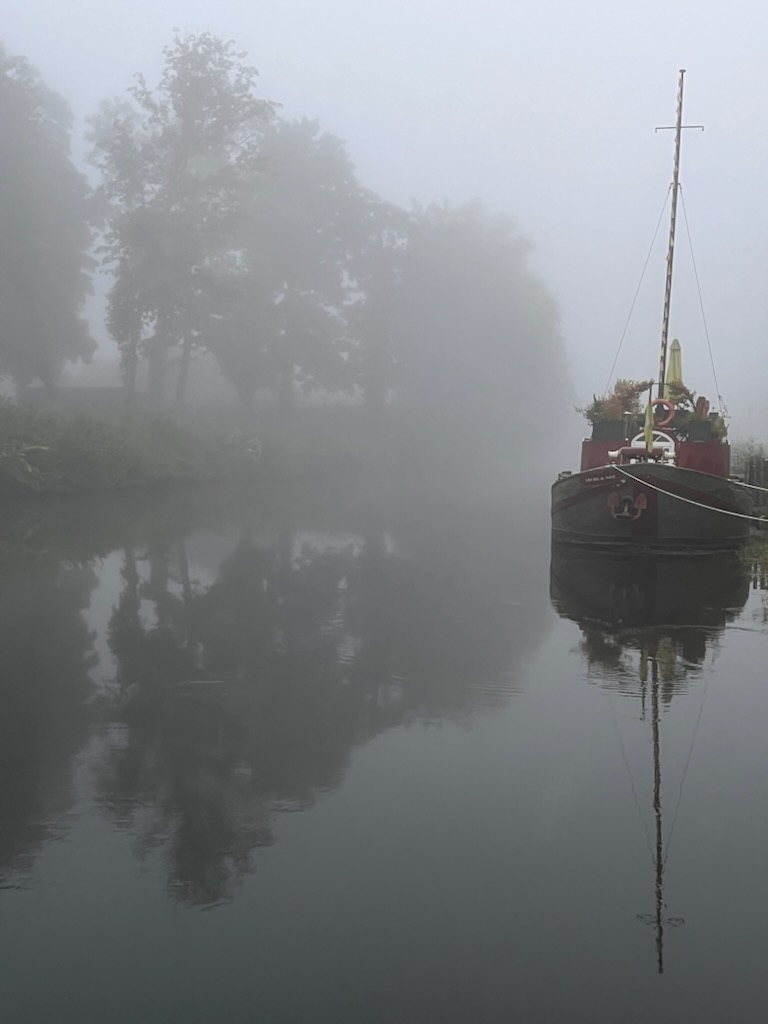 Arche-de-Noe-brume-de-face